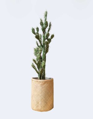Cactus Tanaman / Plante artificielle décorative H155 cm